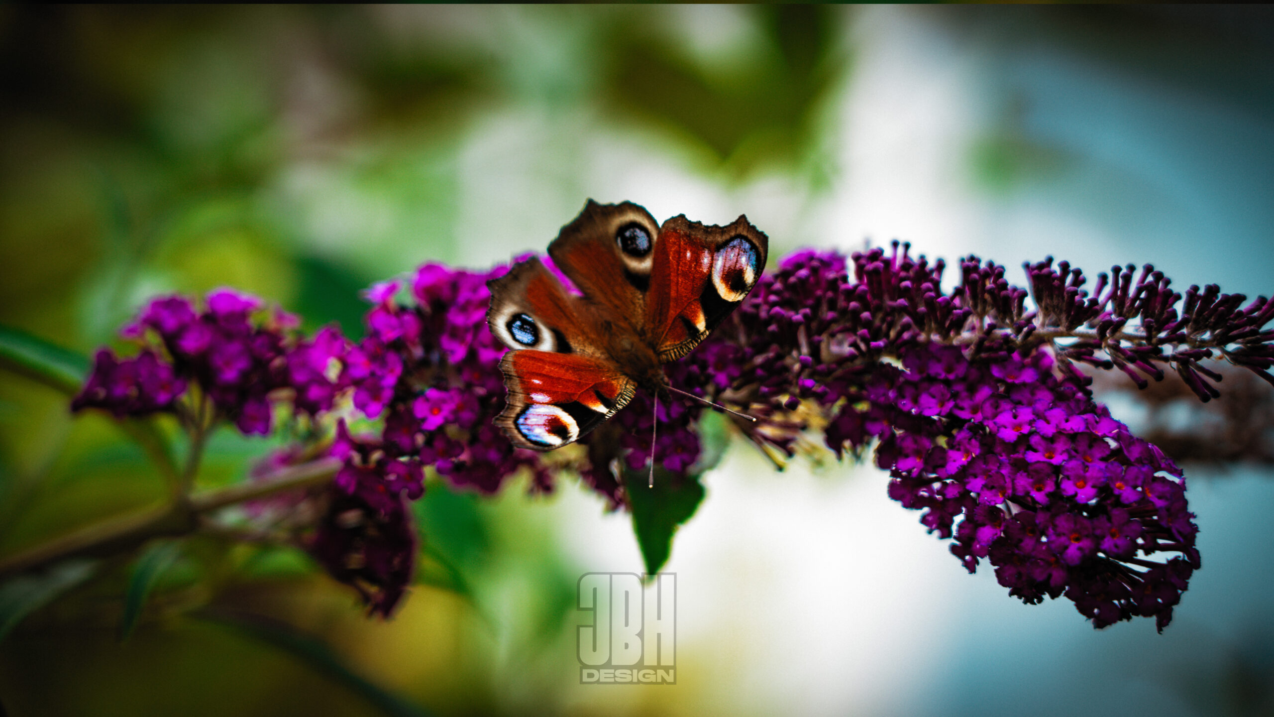 JBHDesign002