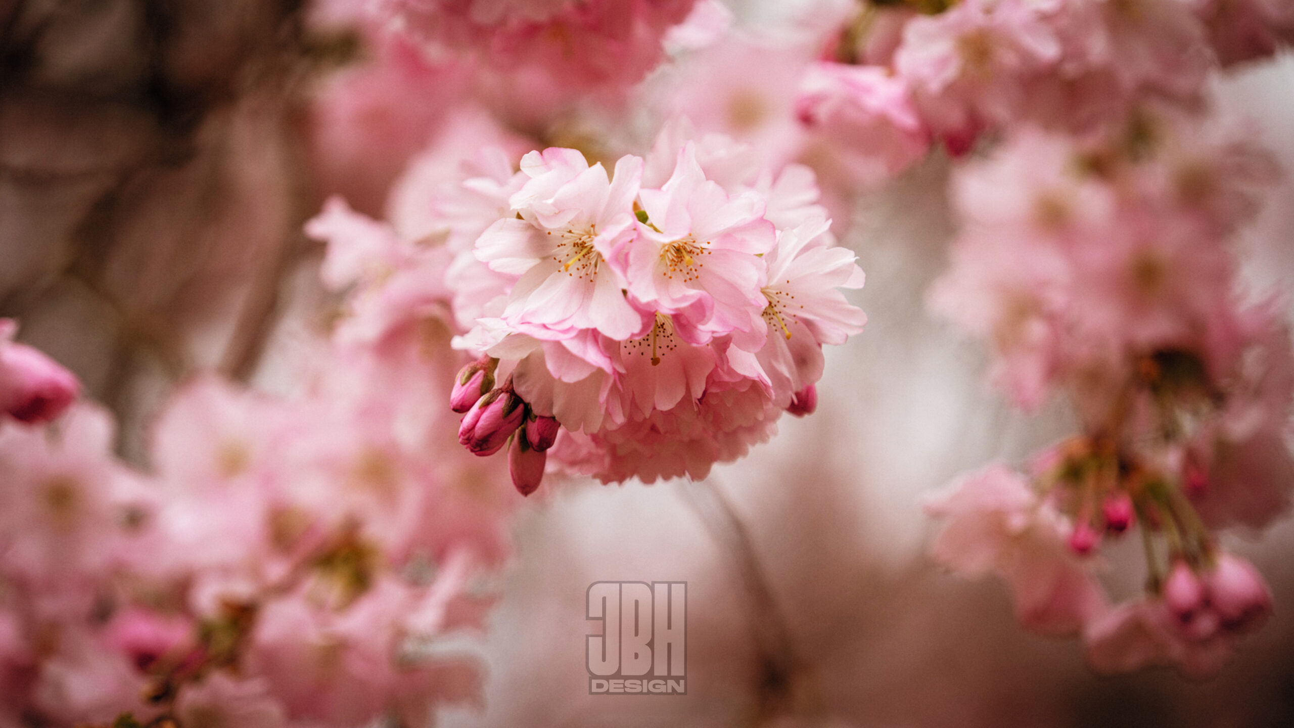 JBHDesign014