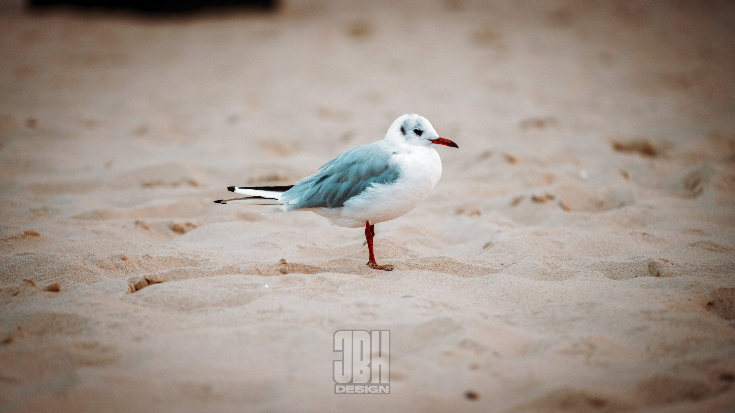 JBHDesign016
